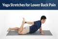 Best Beginner Yoga Stretches for