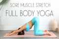 Yoga Full Body Stretches for Tension
