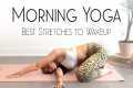 10 Minute Morning Yoga Stretches to