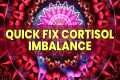 Quick Fix Cortisol Imbalance | Heal