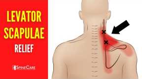 How to Fix Levator Scapulae Pain FOR GOOD