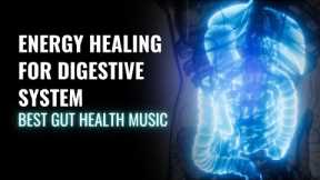 Improve Your Digestive Health | Energy Healing for Digestive System | Best Gut Health Music | 528 Hz