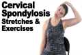 Cervical Spondylosis Stretches &