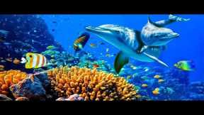 Relaxing Music to Relieve Stress, Anxiety and Depression • Mind, Body 🐬 Soothing music for nerves