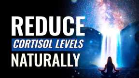 Reduce Cortisol Levels Naturally | Stress Reduction Music Therapy | Brain Calming Sound Vibrations