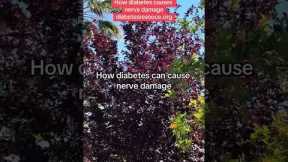 This is how diabetes causes nerve damage