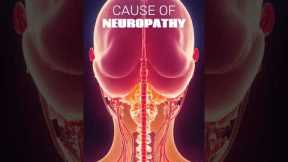 What Is The #1 Cause of Neuropathy? PART 1 🧠 #neuropathy #neuropathytreatment #diabetes