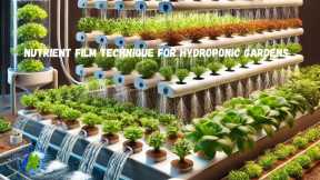 Key Benefits of NFT Hydroponics