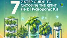 Understanding Lighting Requirements For Your Herb Hydroponic Kit