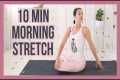 10 min Morning Yoga Stretch for