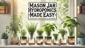 Setting Up Your Mason Jar Hydroponics System