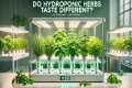 Do Hydroponic Herbs Taste Different