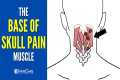 The Base of the Skull Pain Muscle