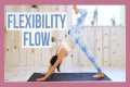 10 min Flexibility Full Body Yoga