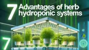 Unlocking The 7 Advantages Of Herb Hydroponic Systems