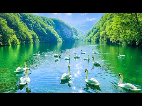 Soothing and Relaxing Music to Reduce Stress and Stop Overthinking 🌿 Melodies for the Soul and Mind