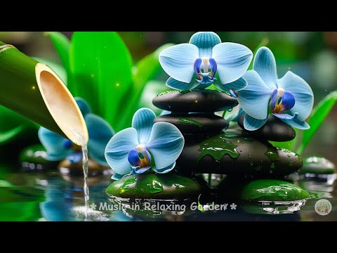 Soothing Piano Music Helps Reduce Stress, Anxiety, Insomnia | Water Sounds, Bird Song #live1