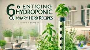 6 Enticing Hydroponic Culinary Herb Recipes and Uses