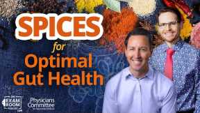 Spices That Heal The Gut | Dr. Will Bulsiewicz | The Exam Room Podcast