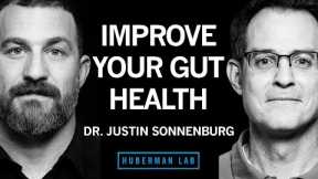 Dr. Justin Sonnenburg: How to Build, Maintain & Repair Gut Health | Huberman Lab Podcast #62