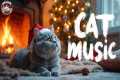 Christmas Cat Music 🎄 Relaxing