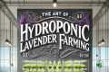 Optimal Conditions For Hydroponic