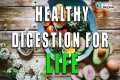 Healthy Digestion For LIFE