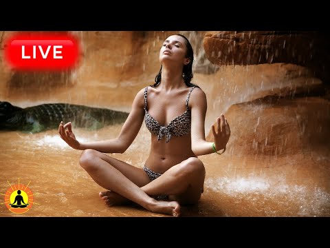 🔴 Harmonious Meditation Music 24/7 🧘‍♀️206 - Reduce Stress & Anxiety | Meditation Music for Yoga