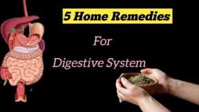 How To Keep Your Digestive System Healthy | 5 Home Remedies For Digestive Health