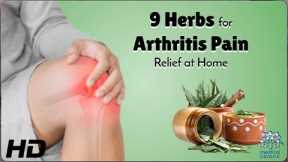 9 Powerful Herbs to Naturally Relieve Arthritis Pain at Home! 🌿💪