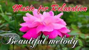 Music for Relaxation and helps reduce stress, Beautiful melody, Relaxing music beautifies the soul