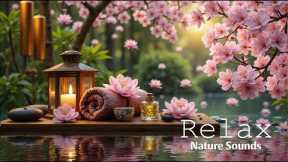 Soothing Spa Piano 🌿 Relaxing Music with Gentle Nature Sounds for Stress Relief & Deep Calm