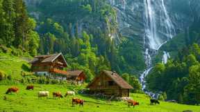 Healing Music For The Soul ~ Reduce Stress & Anxiety, Soothing Nature Sounds, Good Sleep Music