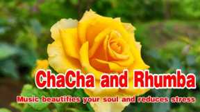 ChaCha and Rhumba melody, New relaxing music bring peace and reduce stress, music for relaxation