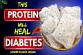 Top 6 Best Protein Foods for Every