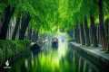 Good relaxing music to reduce