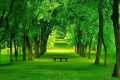 Beautiful Relaxing Music - Stop