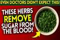 2 Incredibly CHEAP Herbs That Fight