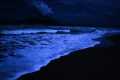 Enjoy Music With Ocean Waves To Calm