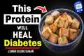 Top 6 Best Protein Foods That REALLY