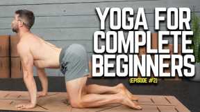 Yoga for Complete Beginners - Ep. 2  | 4 Gentle Yoga Poses For Your Back