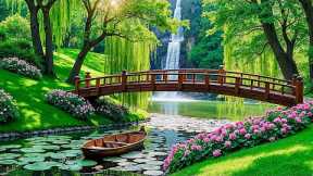 Soothing, Relaxing Music With The Sound of Streams, Birds Helps Reduce Stress and Stop Overthinking