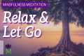 10 Minute Mindfulness Meditation to