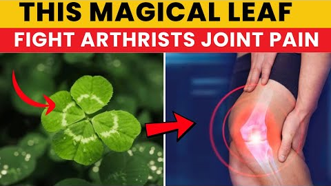 magical leaves That Fights Arthritis & Joint Pain Naturally