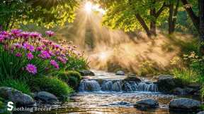 Music heals the soul🌿Reduce stress, stop overthinking, relaxing sounds