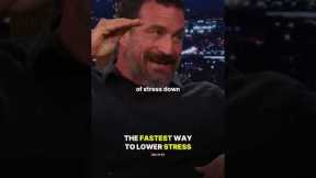 The FASTEST Way to Lower STRESS.