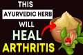 Top 3 Ayurvedic Herbs That Naturally