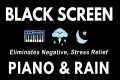 ELIMINATES ALL NEGATIVE ENERGY -