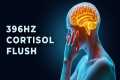 Reduce Cortisol Levels & Stress