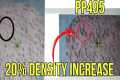 PP405 HAIR LOSS BREAKTHROUGH? PELAGE
